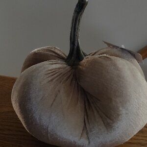 Beanbag Soft Velvet Pumpkin Lightweight Sparkly Beige 7"x7"